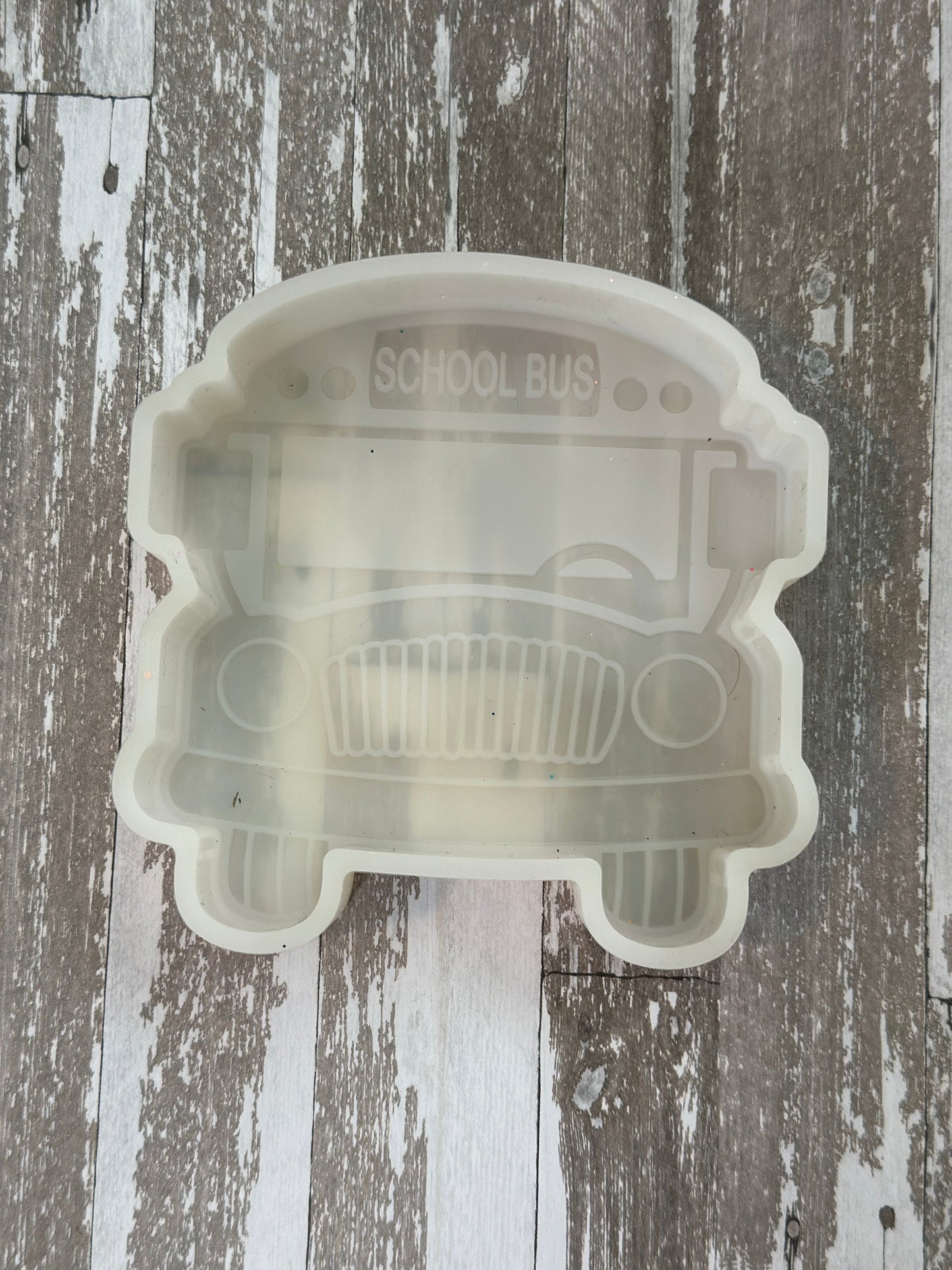 Custom Large Freshie